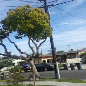 Meet your Posher, Ricky